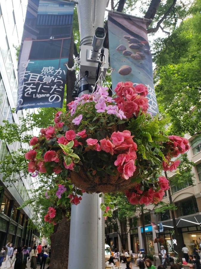 丸の内のお洒落な風景！