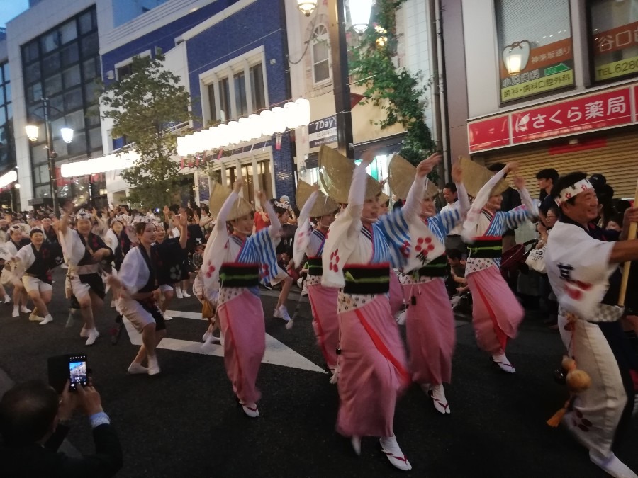 神楽坂祭り　阿波踊り