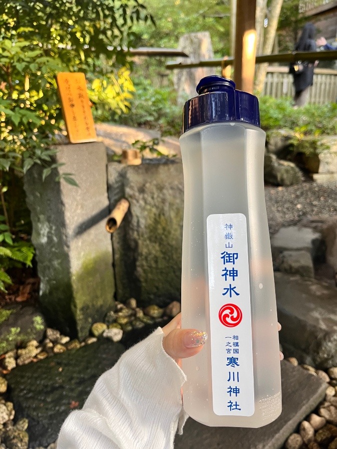 ⛩️寒川神社参拝⛩️