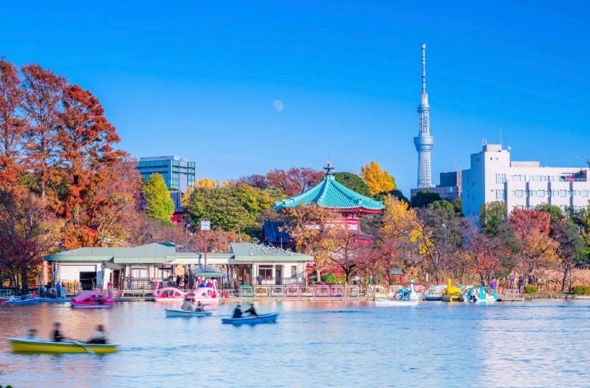 ⛩️上野公園ツアー⛩️11月16日(木)9:00〜